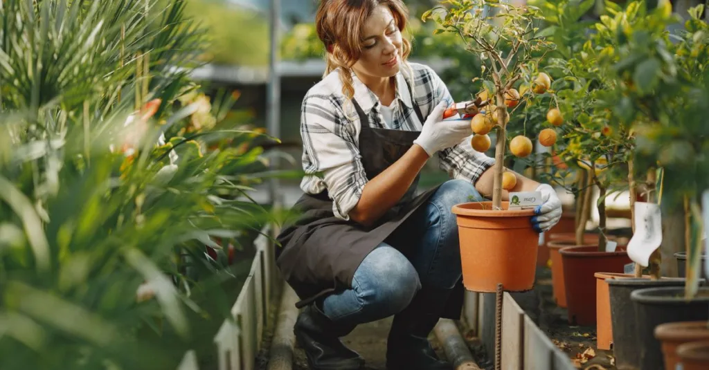 découvrez les bonnes distances à respecter pour planter vos arbres fruitiers et assurer une croissance optimale ainsi qu'une récolte abondante.