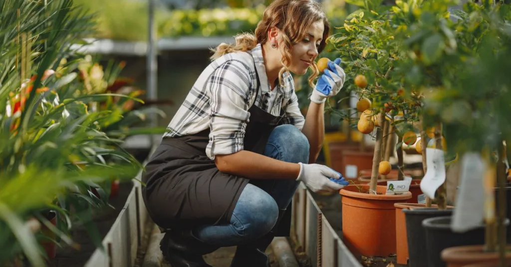 découvrez la meilleure période pour planter des arbres fruitiers et optimiser leur croissance pour une récolte abondante.