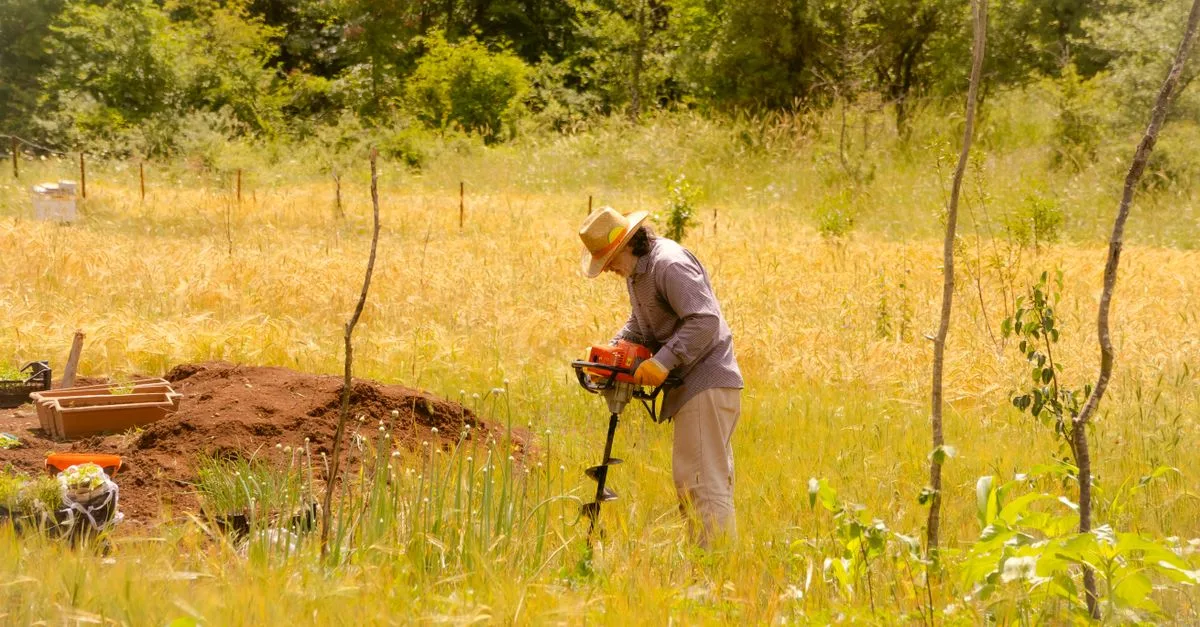 conseils pratiques pour préparer correctement un trou de plantation afin d'assurer la croissance optimale de vos plantes.