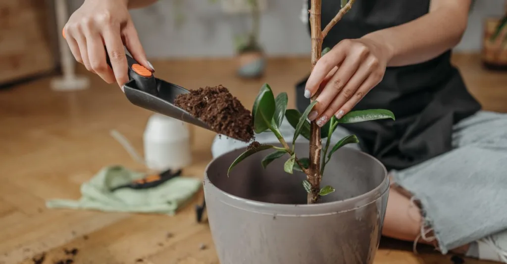 amélioration des sols : techniques et pratiques pour enrichir la qualité et la fertilité du sol, favorisant une croissance végétale optimale.