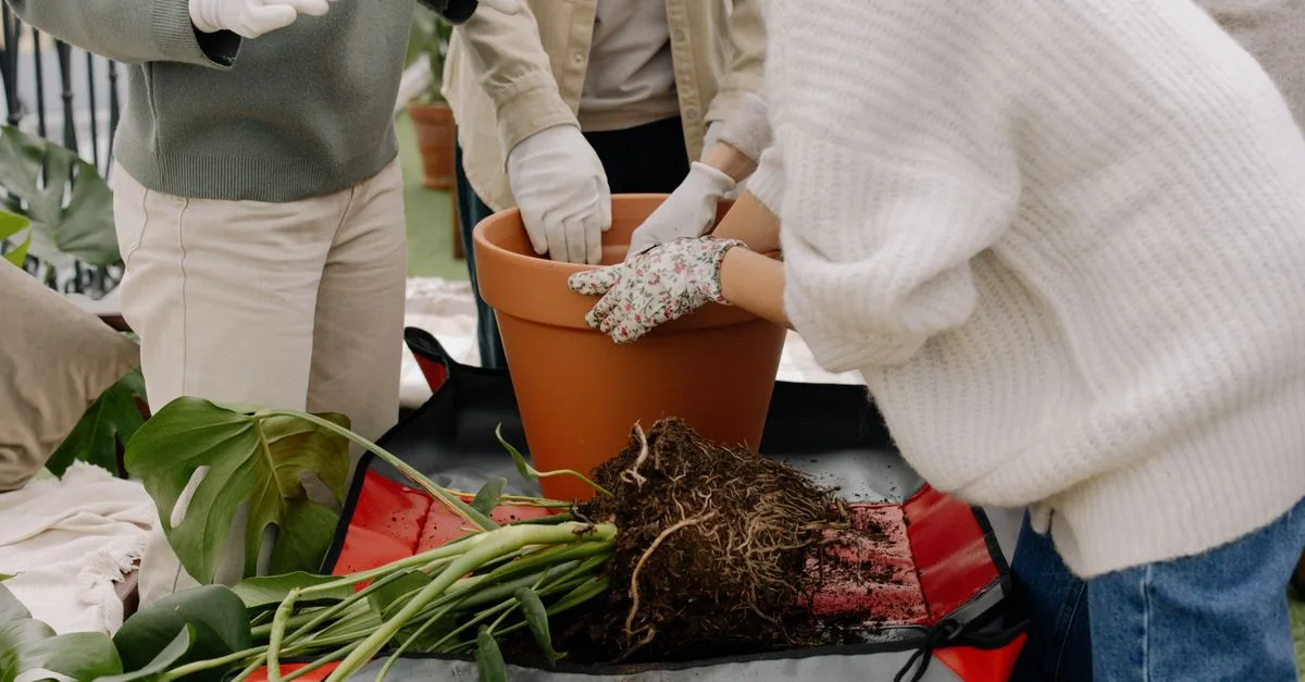 découvrez des conseils pratiques pour jardiner efficacement dans un sol argileux et cultivez un jardin florissant malgré la terre lourde.