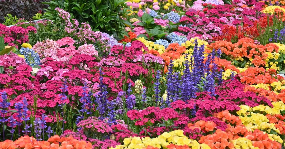 découvrez nos conseils et idées pour aménager un parterre de fleurs magnifique et coloré, parfait pour embellir votre jardin.