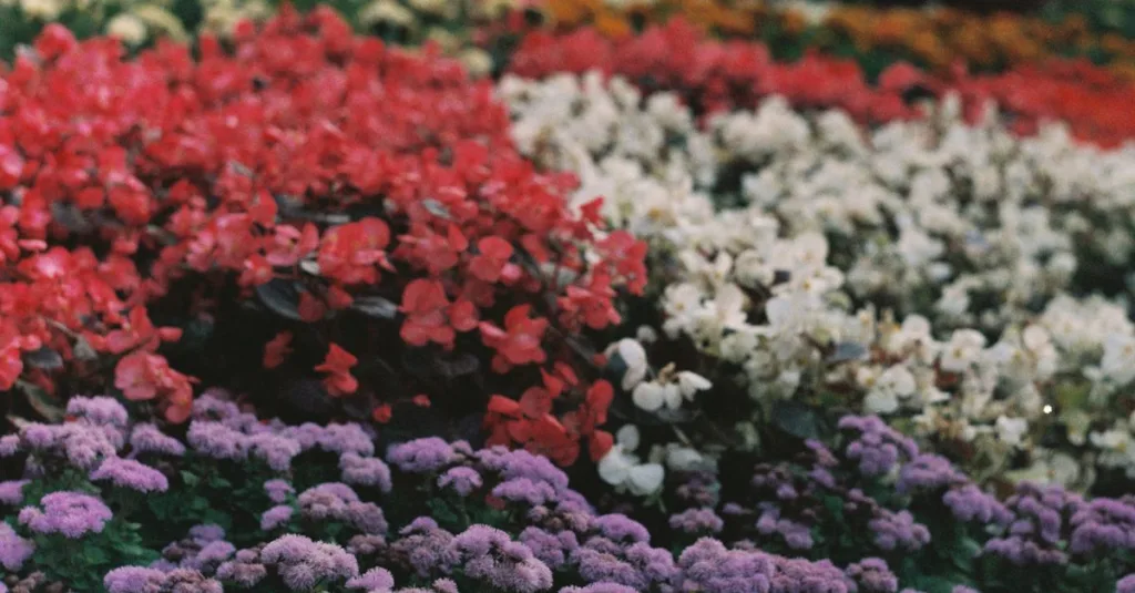 découvrez notre sélection de massifs fleuris pour embellir votre jardin avec des plantes colorées et faciles à entretenir.