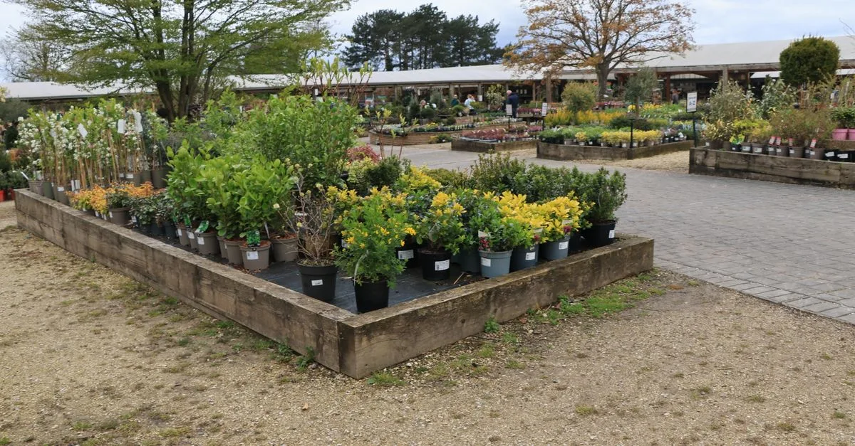 découvrez des idées et conseils pour un aménagement de jardin parfait, alliant esthétique et fonctionnalité pour créer un espace extérieur harmonieux.