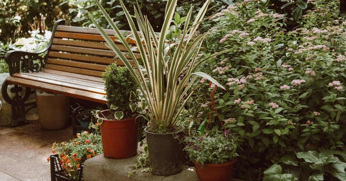 transformez votre espace extérieur avec notre service de redesign de jardin, alliant esthétique et fonctionnalité pour un jardin unique et accueillant.