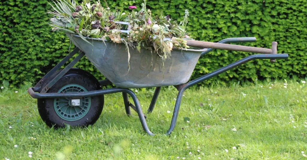 découvrez des idées innovantes de jardin sans pelouse pour un aménagement durable et esthétique, facile à entretenir et respectueux de l'environnement.
