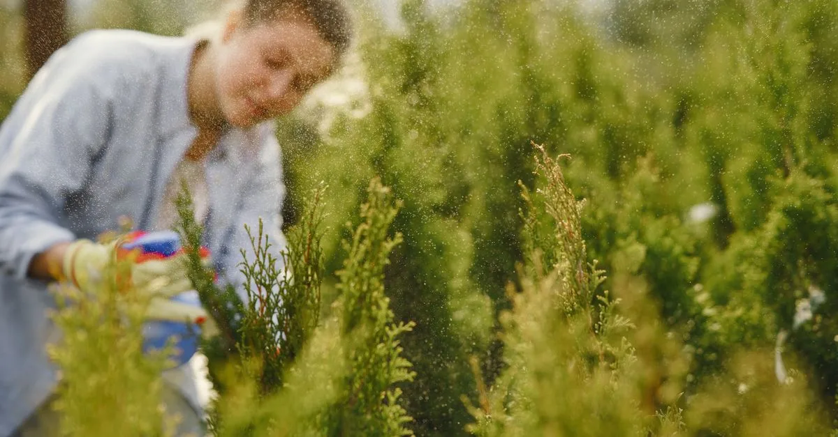 découvrez comment créer un jardin facile d'entretien, idéal pour profiter de la nature sans perdre de temps en soins intensifs.