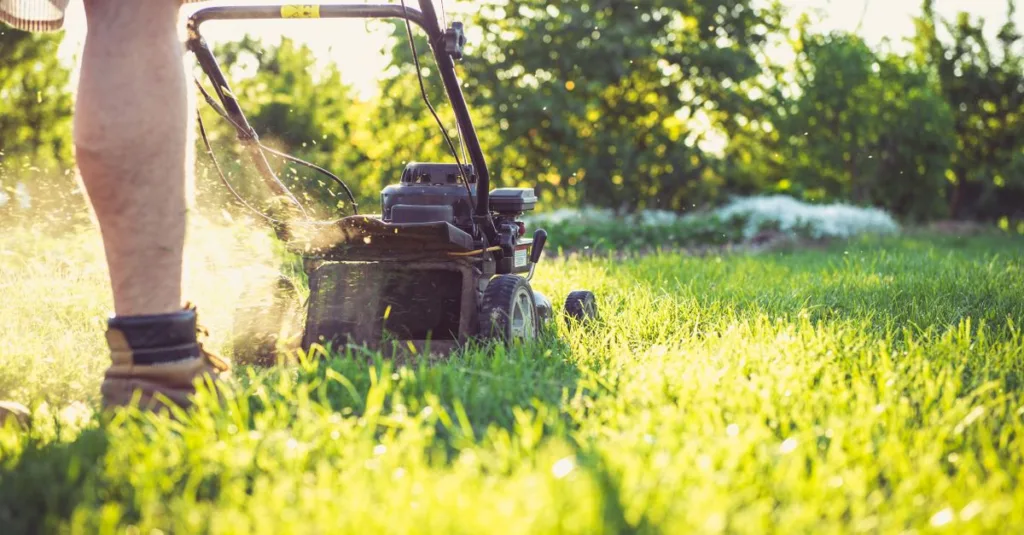 découvrez comment créer un jardin facile d'entretien, parfait pour profiter de la nature sans passer des heures à jardiner.
