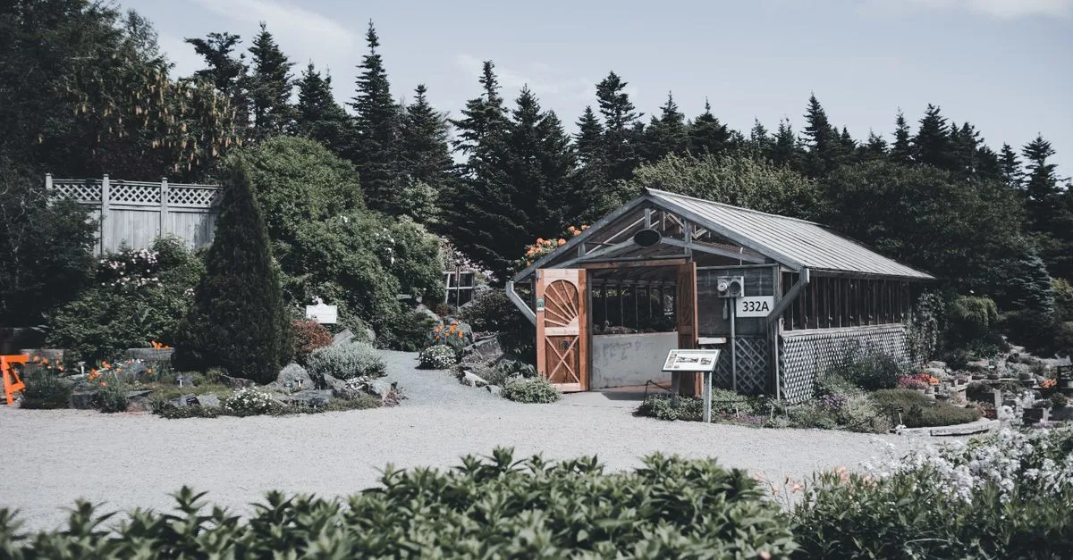 découvrez comment créer un jardin naturel alliant beauté et écologie grâce à des designs inspirés par la nature pour un espace extérieur authentique et durable.
