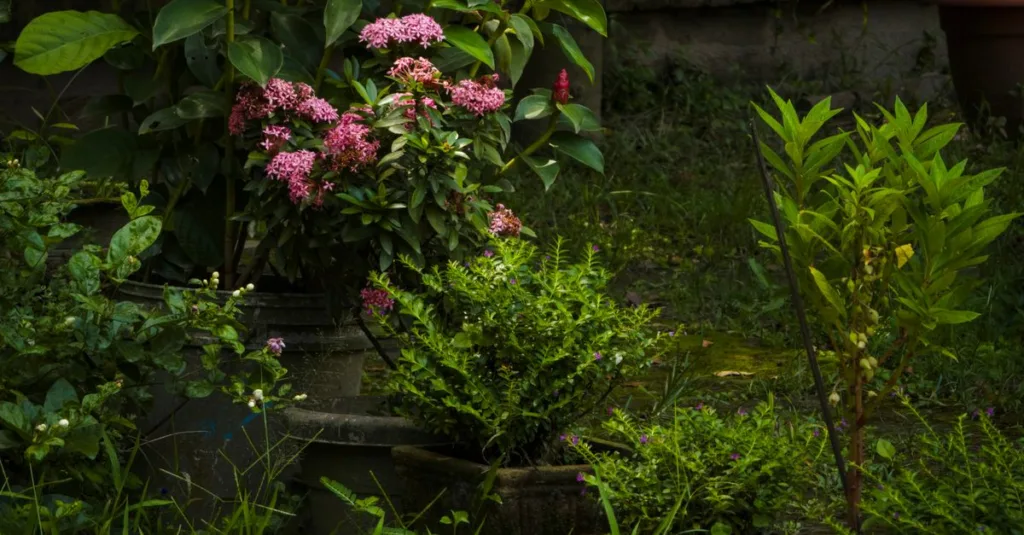 découvrez nos conseils et idées pour un design de jardin naturel alliant beauté, biodiversité et respect de l'environnement.