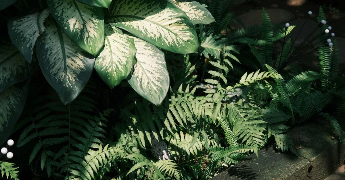 découvrez un coin de jardin ombragé naturel, parfait pour se détendre au calme, entouré de plantes luxuriantes et d'arbres offrant une atmosphère paisible et rafraîchissante.
