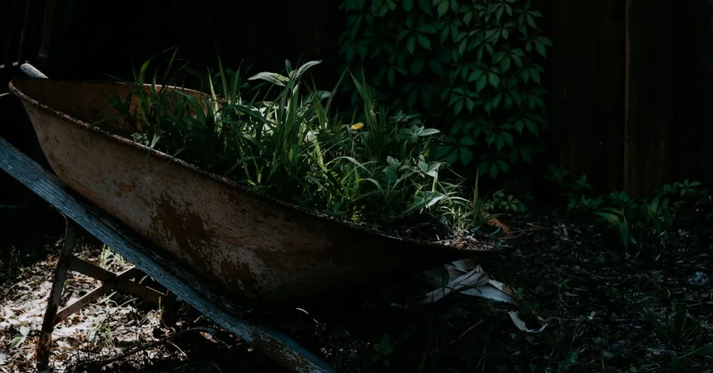 découvrez un coin de jardin ombragé naturel, un espace paisible où la verdure et l'ombre créent une ambiance relaxante et authentique.