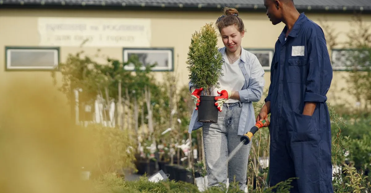 découvrez comment choisir les plantes adaptées à l'exposition de votre jardin pour un aménagement réussi et une croissance optimale.