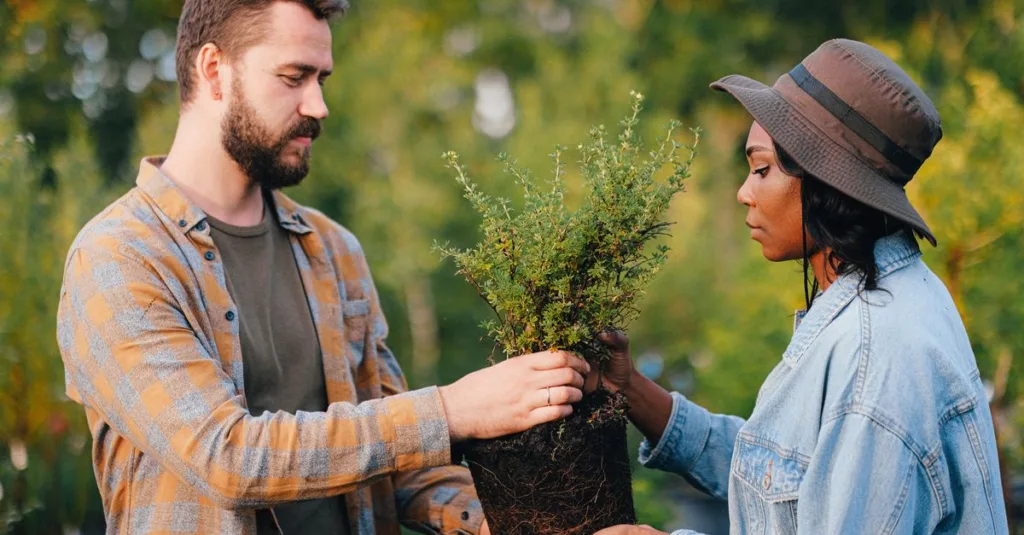 découvrez comment choisir les plantes idéales en fonction de l'exposition de votre jardin pour assurer une croissance optimale et un bel aménagement paysager.