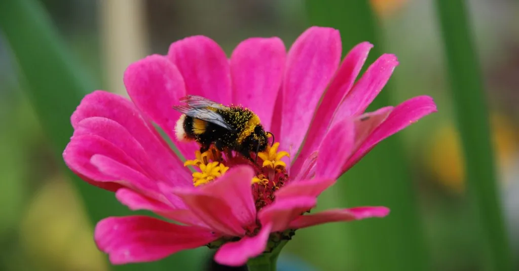 découvrez comment créer un jardin favorable aux pollinisateurs avec des plantes attractives pour les abeilles, papillons et autres insectes essentiels à la biodiversité.