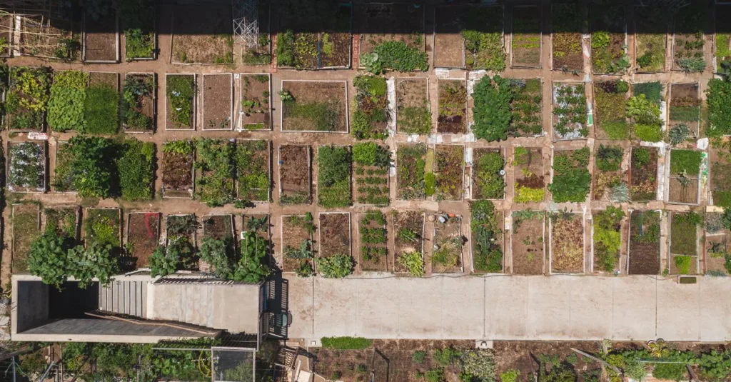 découvrez des idées d'aménagement pour petits jardins, optimisez votre espace extérieur avec des plans ingénieux et créez un coin de verdure charmant et fonctionnel.