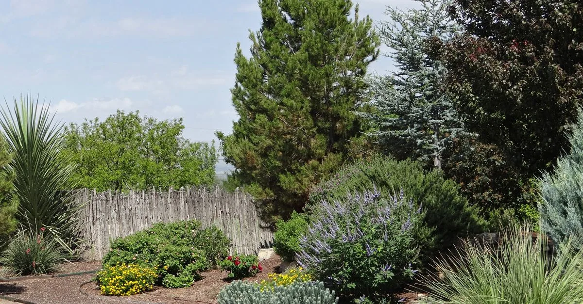 découvrez des idées de conception pour un jardin plein sud, optimisant l'exposition au soleil afin de créer un espace extérieur lumineux et accueillant toute l'année.