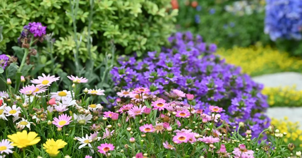 découvrez un jardin fleuri toute l'année grâce à nos conseils de plantation et d'entretien adaptés à chaque saison pour une beauté constante.