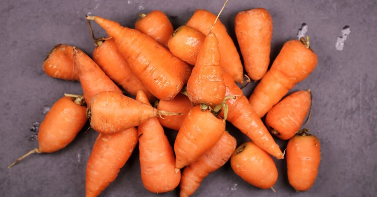 apprenez à semer des carottes facilement et efficacement avec nos conseils pratiques pour un jardinage réussi.