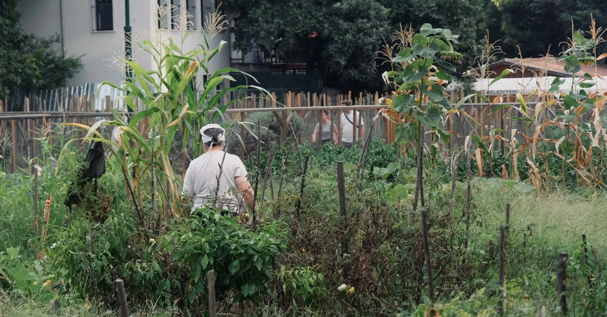 découvrez comment créer facilement un potager de 10 m² pour cultiver vos légumes frais chez vous, même avec un petit espace.