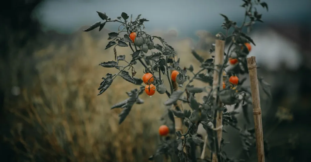 découvrez les légumes faciles à cultiver, parfaits pour débutants et jardiniers pressés. apprenez à faire pousser rapidement des légumes savoureux chez vous.