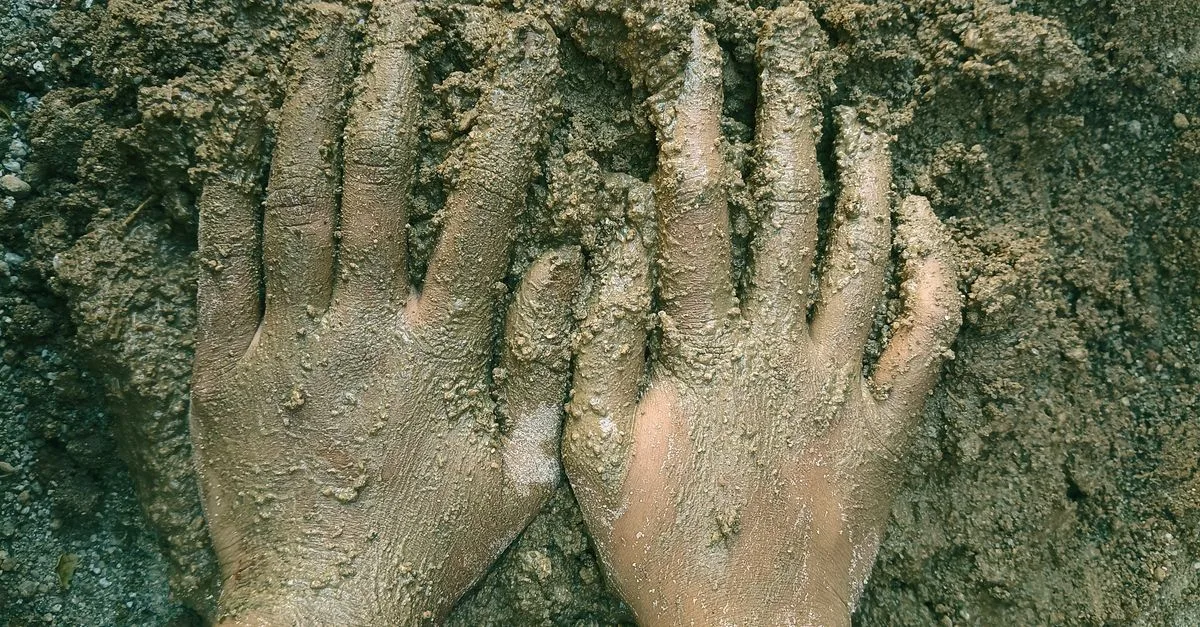 découvrez comment améliorer naturellement la terre argileuse de votre jardin grâce à des méthodes écologiques et efficaces pour un sol fertile et sain.