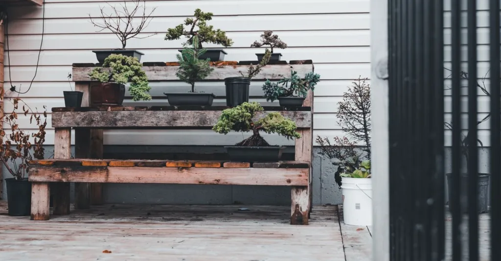découvrez notre sélection de plantes en pot pour l'extérieur, idéales pour embellir votre jardin, terrasse ou balcon toute l'année.