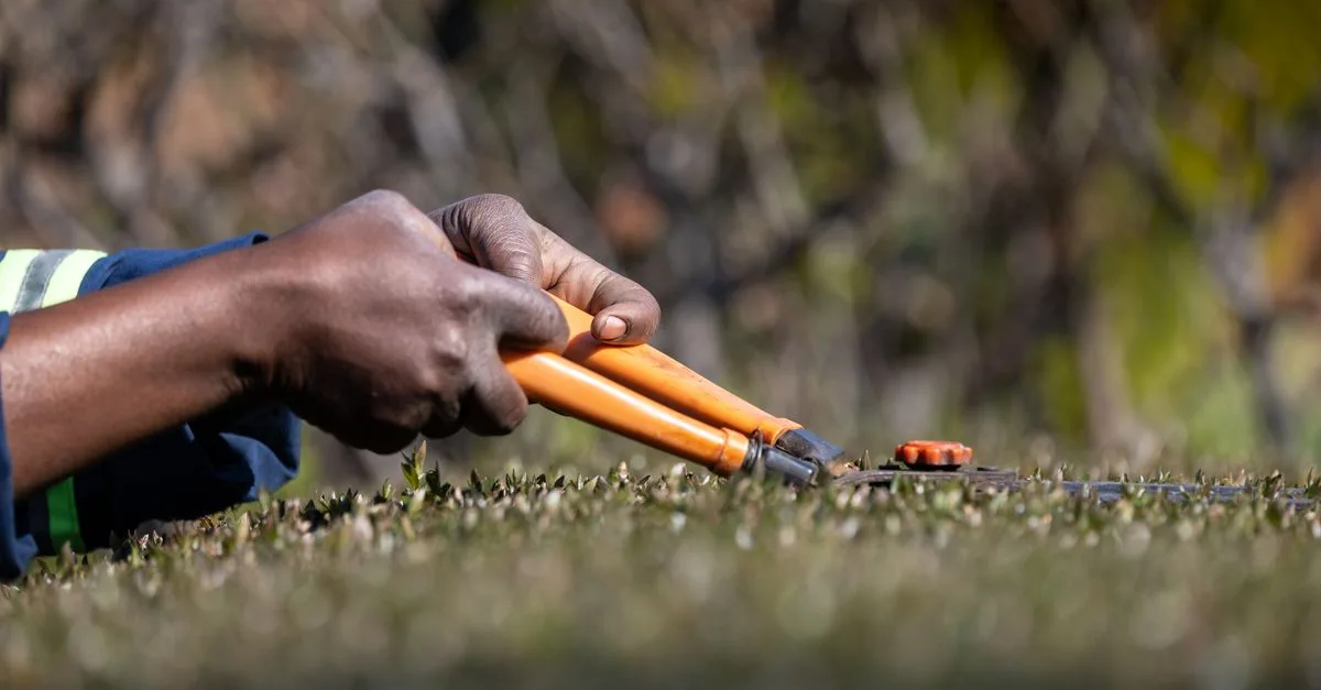 découvrez nos conseils et techniques efficaces pour la taille des plantes et arbres afin de favoriser leur croissance et leur santé.