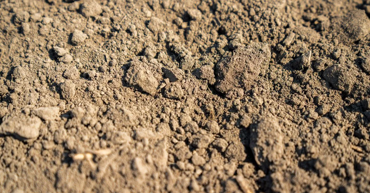 découvrez les meilleures techniques d'enrichissement du sol pour améliorer la fertilité, favoriser la croissance des plantes et optimiser vos récoltes de manière naturelle et durable.