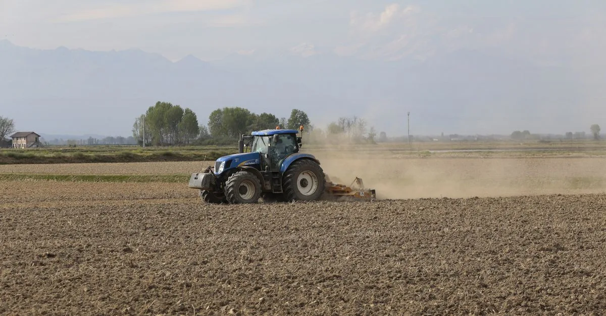 découvrez les meilleures techniques de préparation du sol pour optimiser la croissance de vos plantes et garantir une récolte abondante et saine.