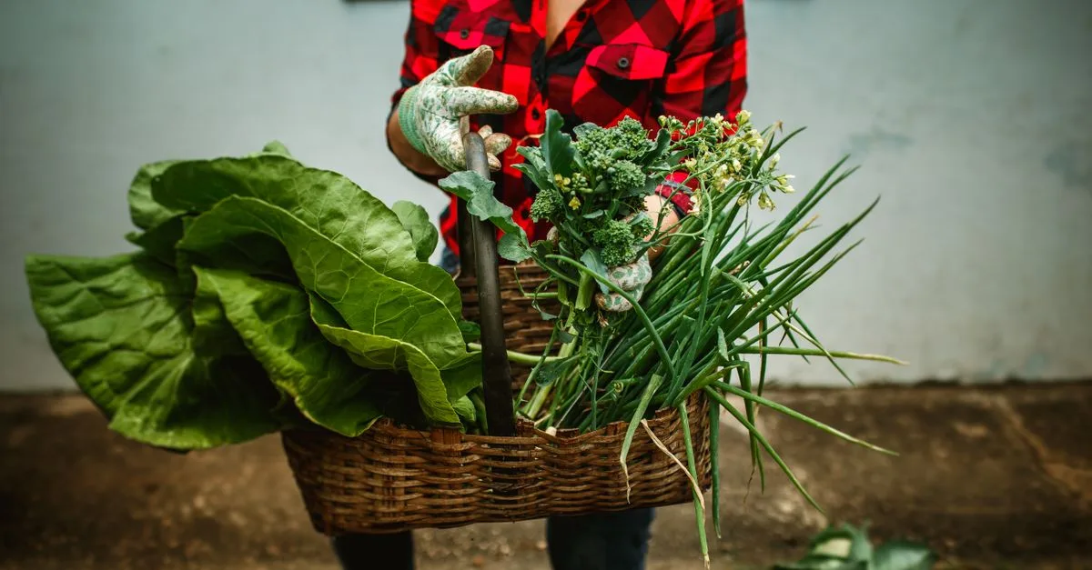 découvrez notre sélection de légumes de printemps frais et de saison pour des recettes savoureuses et saines.