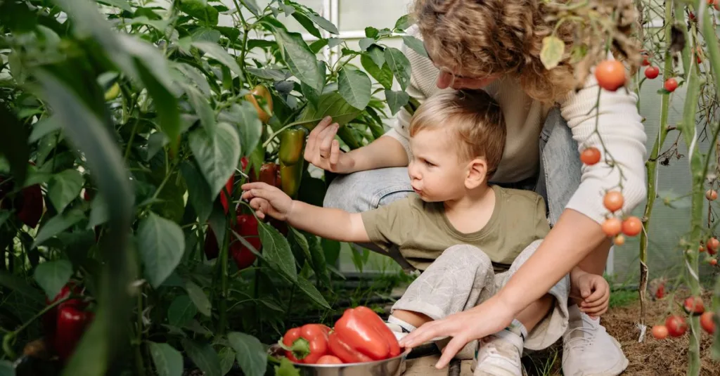découvrez le meilleur moment pour planter vos tomates afin d'assurer une récolte abondante et savoureuse.
