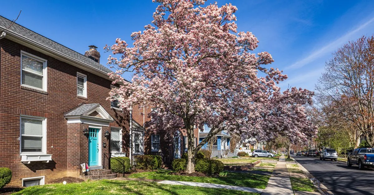découvrez comment choisir l'arbre idéal pour votre jardin près de la maison afin d'allier beauté, ombre et harmonie avec votre espace extérieur.