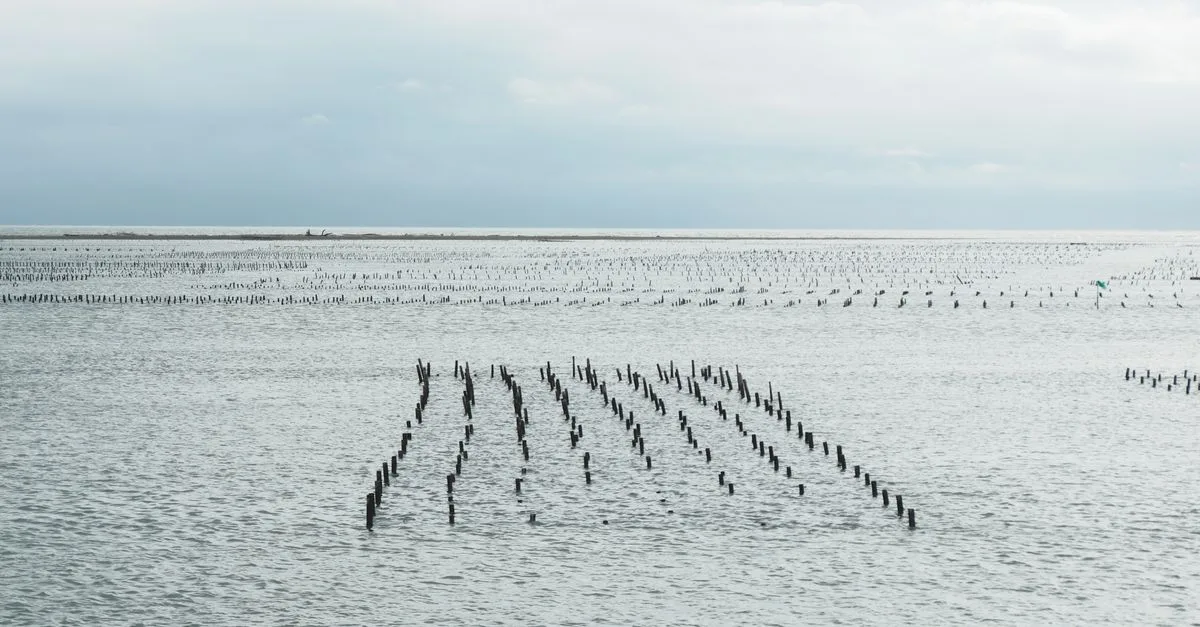 découvrez le tree staking, une méthode innovante pour sécuriser votre réseau tout en récompensant vos participations de manière écologique et efficace.