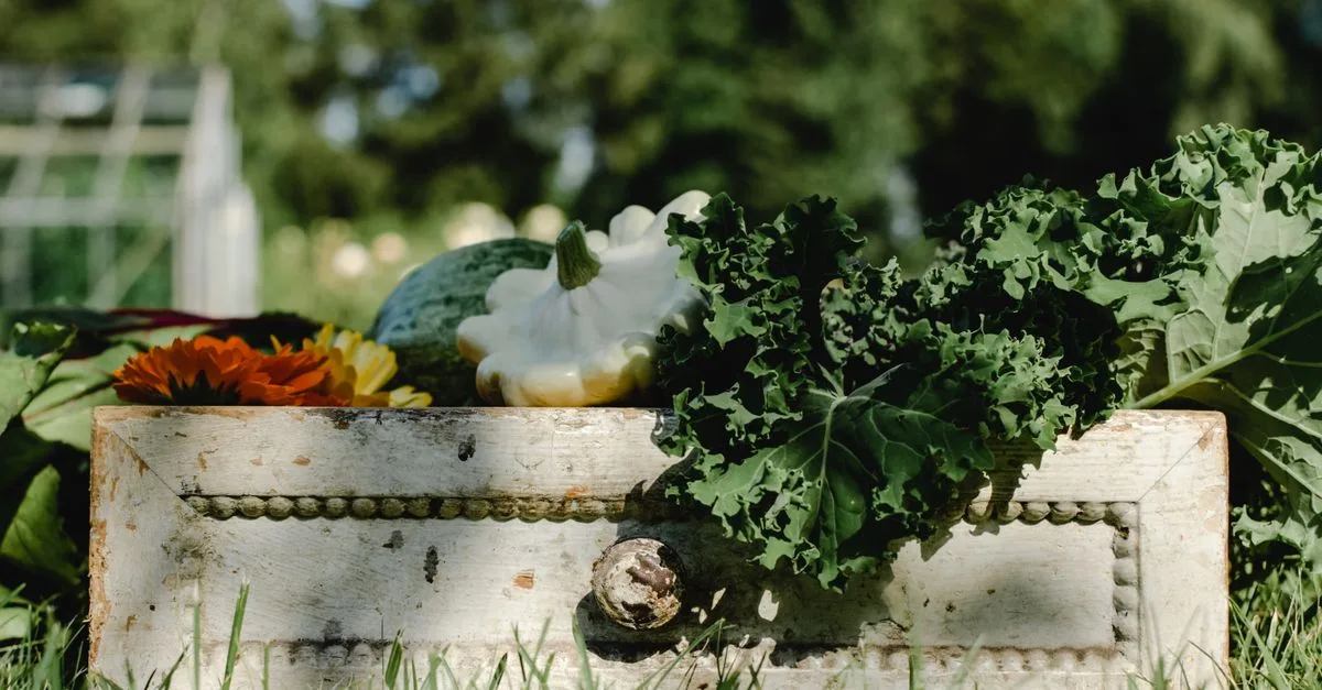 conseils pratiques pour organiser votre potager et maximiser la croissance de vos légumes.