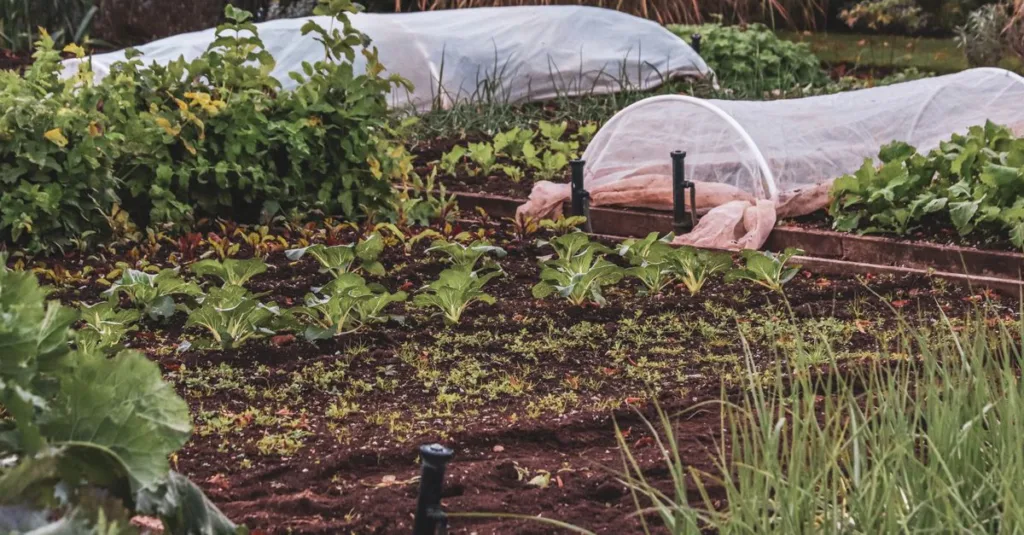 découvrez des astuces pratiques pour organiser votre potager et maximiser la croissance de vos légumes tout au long de la saison.