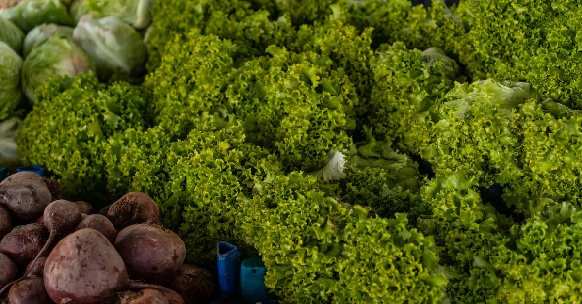 découvrez une variété de légumes frais et savoureux pour une alimentation saine et équilibrée.