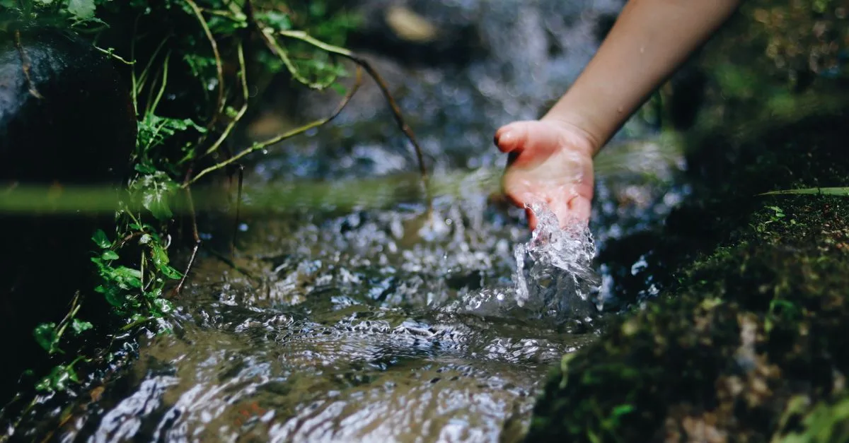 découvrez les besoins en eau essentiels pour les plantes, les animaux et l'humain afin d'assurer une hydratation optimale et préserver la santé.